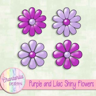 Free purple and lilac shiny flowers