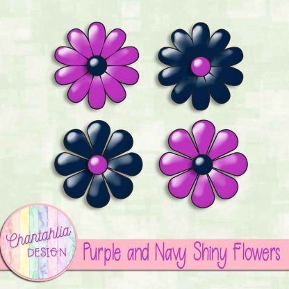 Free purple and navy shiny flowers