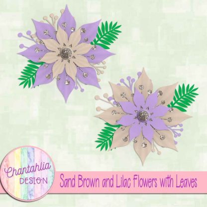 Free sand brown and lilac flowers with leaves