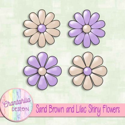 Free sand brown and lilac shiny flowers