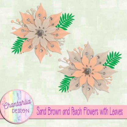 Free sand brown and peach flowers with leaves