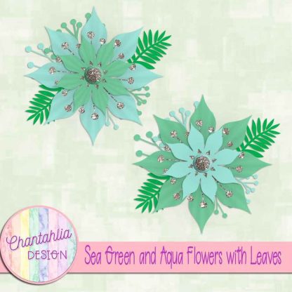 Free sea green and aqua flowers with leaves