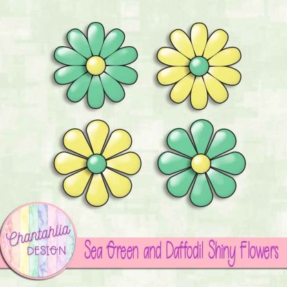 Free sea green and daffodil shiny flowers