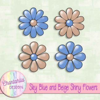 Free sky blue and beige shiny flowers
