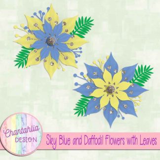 Free sky blue and daffodil flowers with leaves