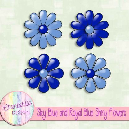 Free sky blue and royal blue shiny flowers