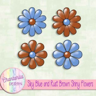 Free sky blue and rust brown shiny flowers