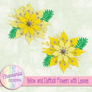 Free yellow and daffodil flowers with leaves