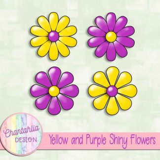 Free yellow and purple shiny flowers