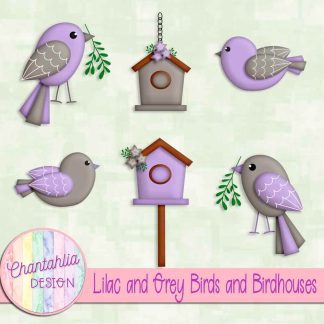 Free lilac and grey birds and birdhouses