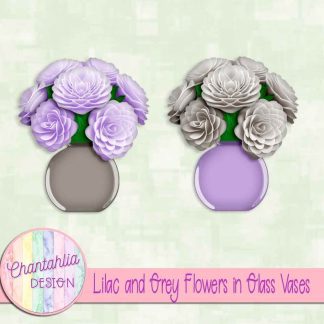 Free lilac and grey flowers in glass vases