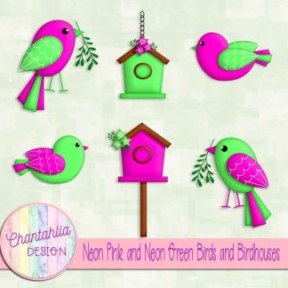 Free neon pink and neon green birds and birdhouses