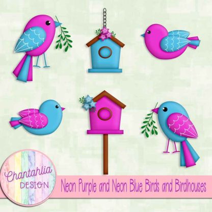 Free neon purple and neon blue birds and birdhouses