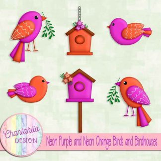 Free neon purple and neon orange birds and birdhouses