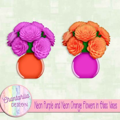 Free neon purple and neon orange flowers in glass vases