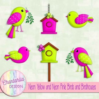 Free neon yellow and neon pink birds and birdhouses