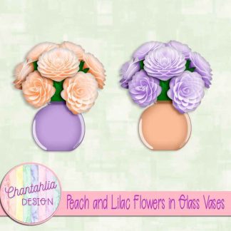 Free peach and lilac flowers in glass vases