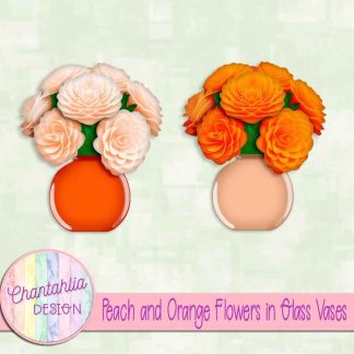 Free peach and orange flowers in glass vases