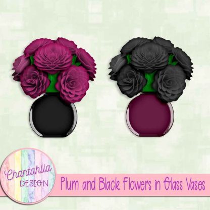 Free plum and black flowers in glass vases
