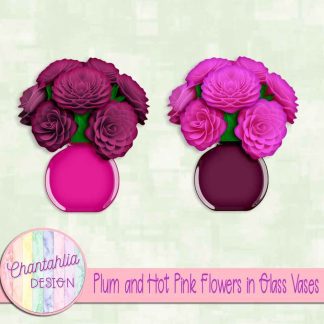 Free plum and hot pink flowers in glass vases