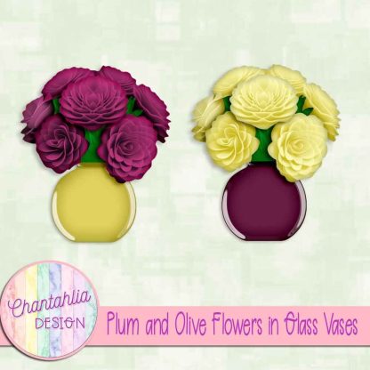 Free plum and olive flowers in glass vases