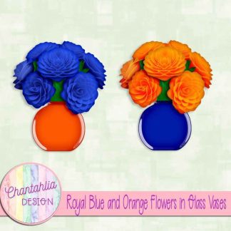 Free royal blue and orange flowers in glass vases