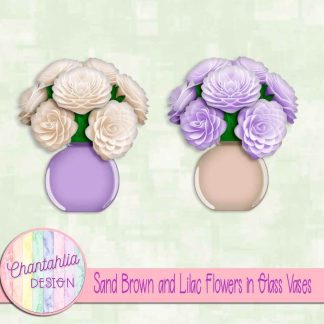 Free sand brown and lilac flowers in glass vases