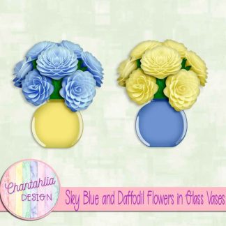 Free sky blue and daffodil flowers in glass vases