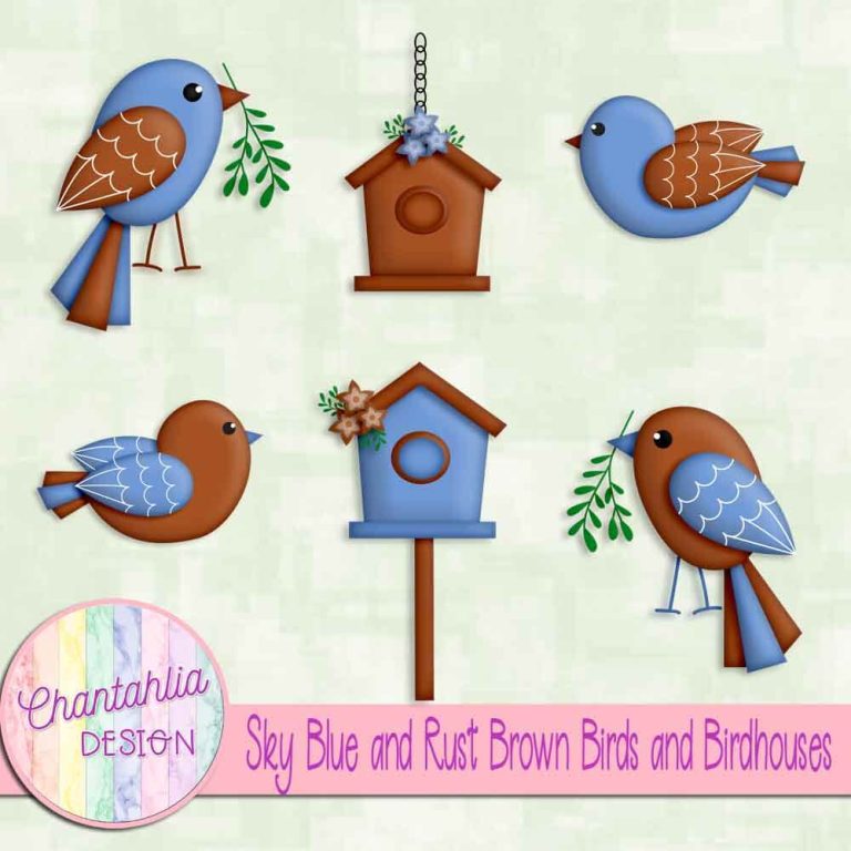 Sky Blue and Rust Brown Birds and Birdhouses