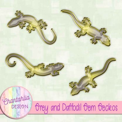 Free grey and daffodil gem geckos