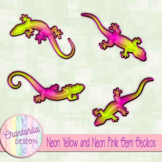 Free neon yellow and neon pink gem geckos