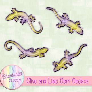 Free olive and lilac gem geckos