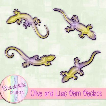 Free olive and lilac gem geckos