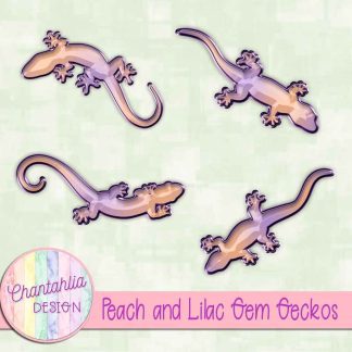 Free peach and lilac gem geckos