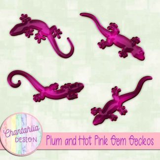 Free plum and hot pink gem geckos