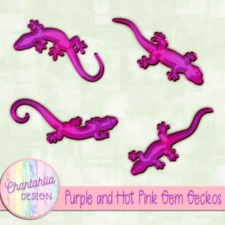 Free purple and hot pink gem geckos
