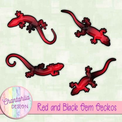 Free red and black gem geckos