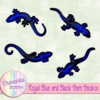 Free royal blue and black gem geckos