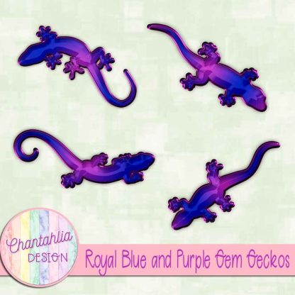 Free royal blue and purple gem geckos