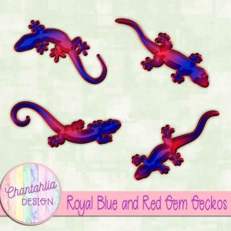 Free royal blue and red gem geckos