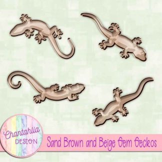 Free sand brown and beige gem geckos