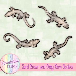 Free sand brown and grey gem geckos