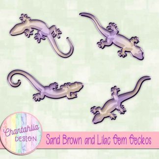 Free sand brown and lilac gem geckos