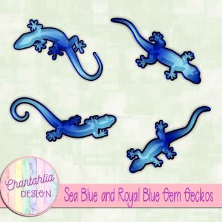 Free sea blue and royal blue gem geckos