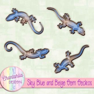 Free sky blue and beige gem geckos