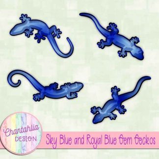 Free sky blue and royal blue gem geckos