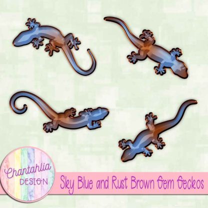 Free sky blue and rust brown gem geckos
