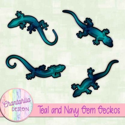 Free teal and navy gem geckos