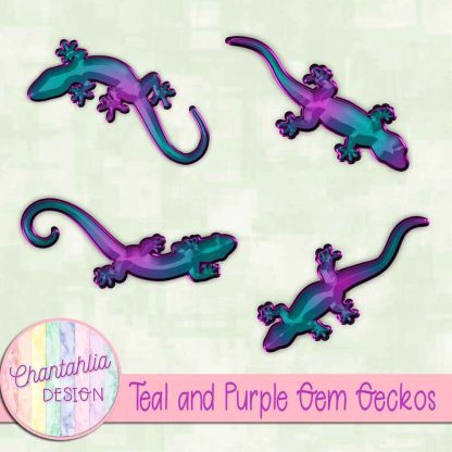 Free teal and purple gem geckos