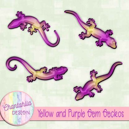 Free yellow and purple gem geckos